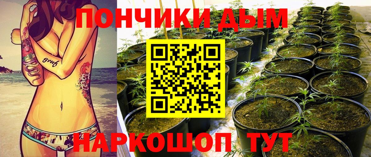 Реутов  Канабис индика  Вход с VPN  Конопля VHQ  Каннабис Bruce Banner 